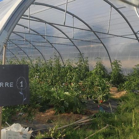 Eco-Gite A La Ferme D'Elles Saint-Andre-de-l'Epine Esterno foto