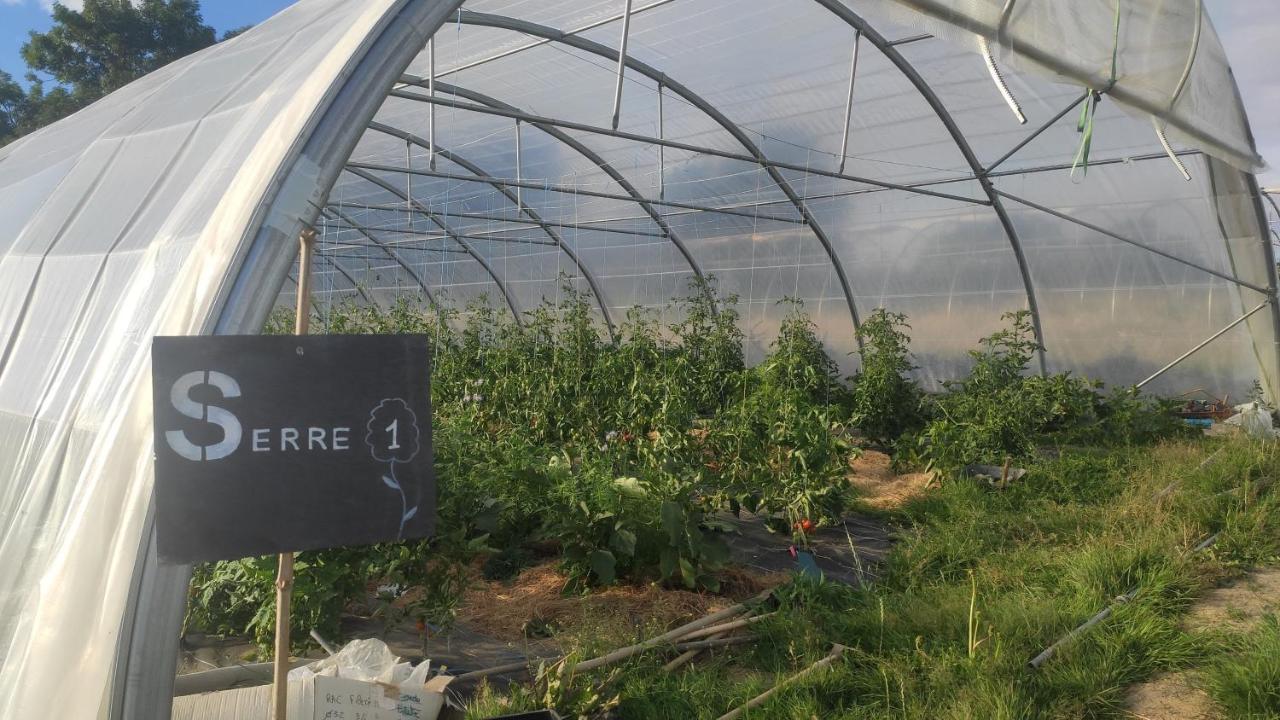 Eco-Gite A La Ferme D'Elles Saint-Andre-de-l'Epine Esterno foto